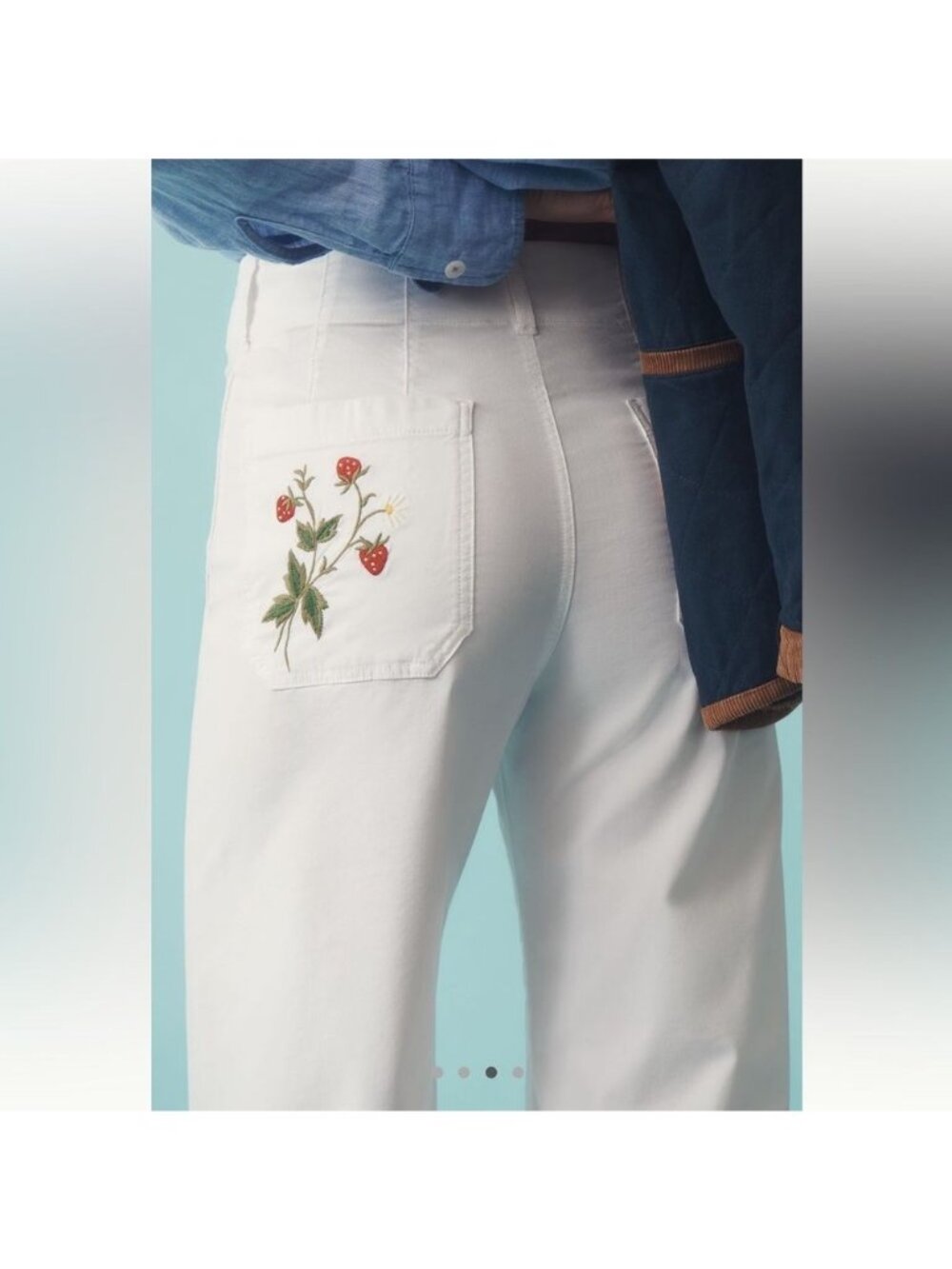 Anthropologie The Colette Embroidered Wide Leg Pants Strawberry Womens 27 Tall